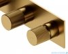 Omnires Contour system prysznicowy podtynkowy złoty szczotkowany SYSCT10GLB